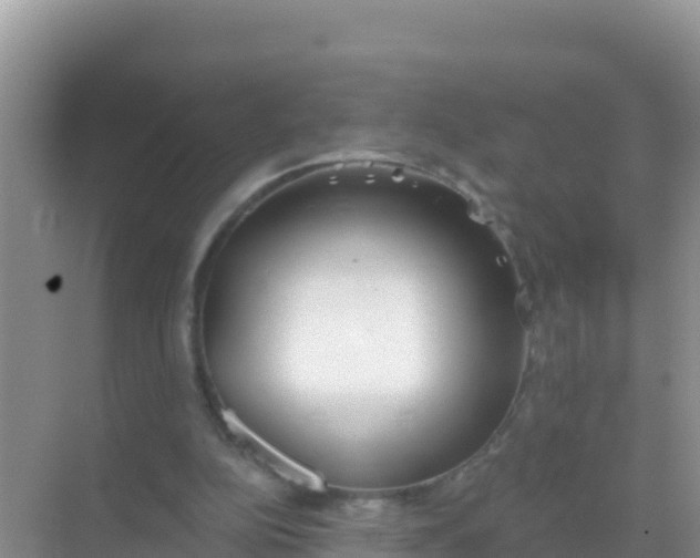 X0000069360152200605262007