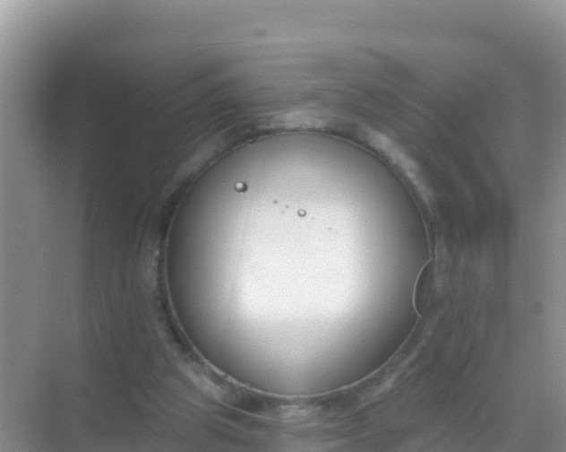 X0000069360153200605262008