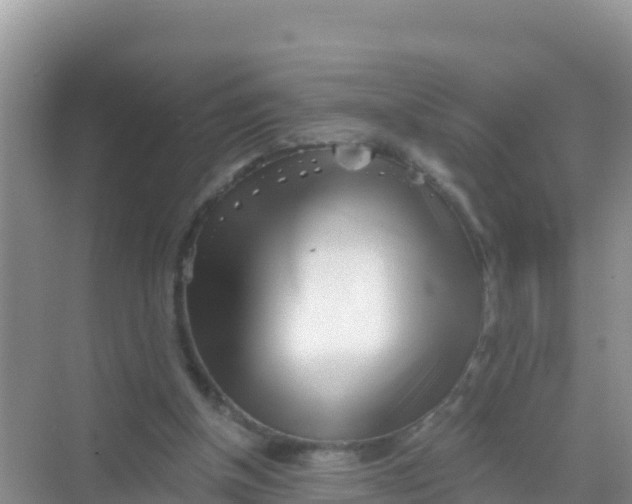 X0000069360154200605262008