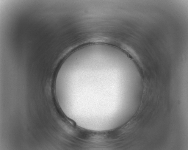 X0000069360155200605262008