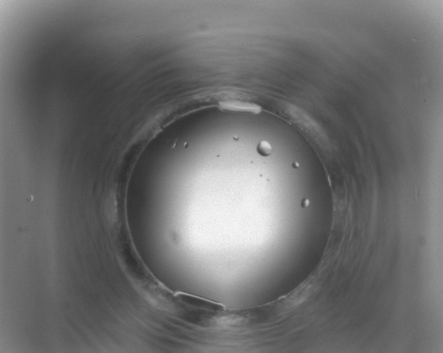 X0000069360158200605262008