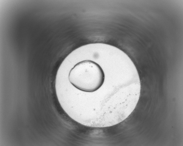 X0000069360162200605262008