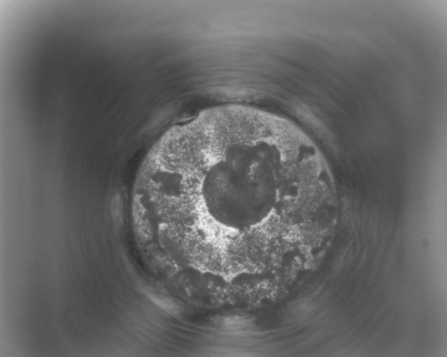 X0000069360165200605262008