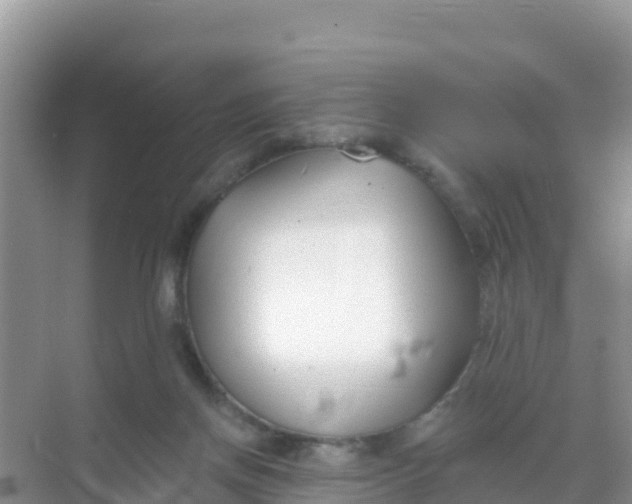 X0000069360166200605262008