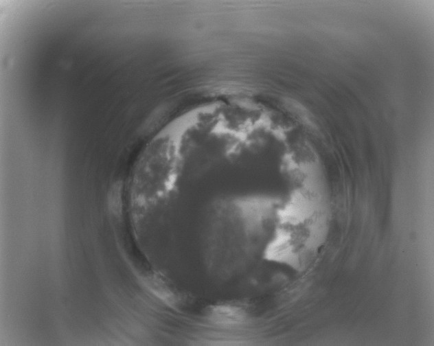 X0000069360167200605262008