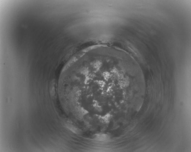 X0000069360169200605262008