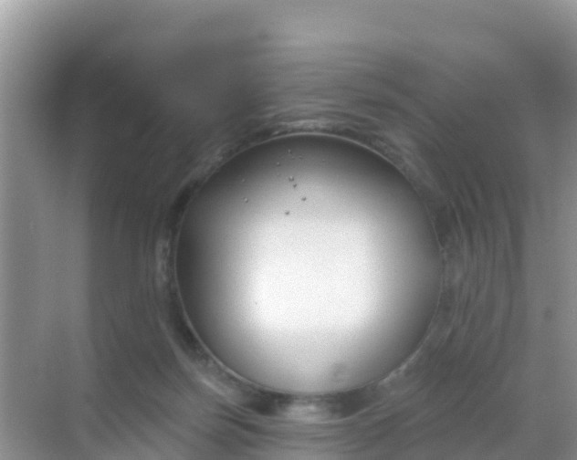 X0000069360171200605262008