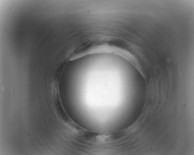 X0000069360172200605262008