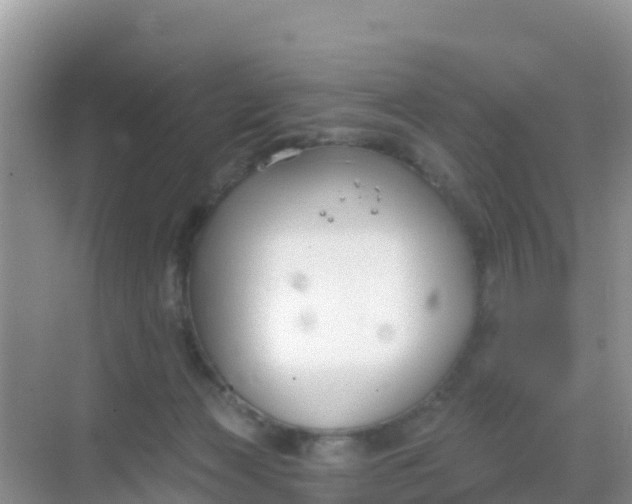 X0000069360173200605262008