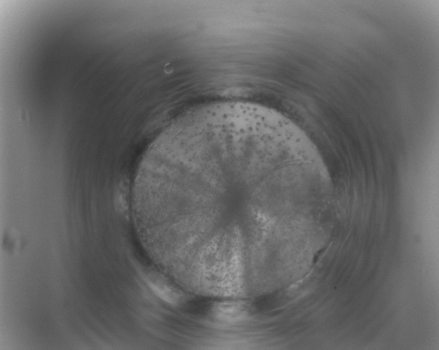 X0000069360175200605262008