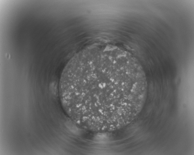 X0000069360177200605262008