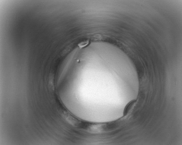 X0000069360178200605262008