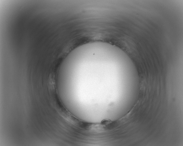 X0000069360179200605262008