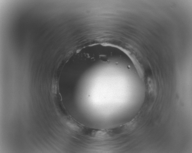 X0000069360180200605262008