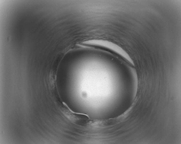 X0000069360186200605262008