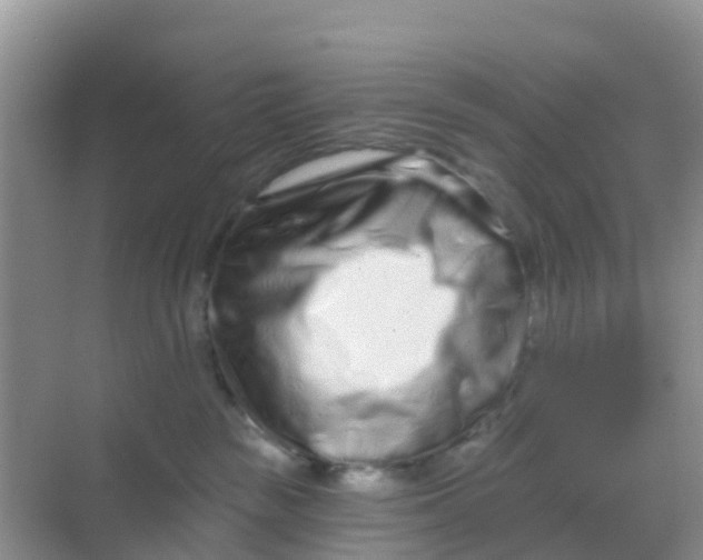 X0000069360189200605262008