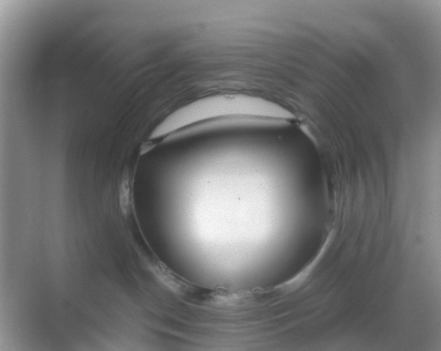 X0000069360190200605262008