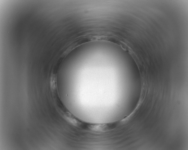 X0000069360191200605262008