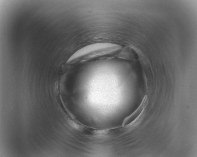 X0000069360192200605262008