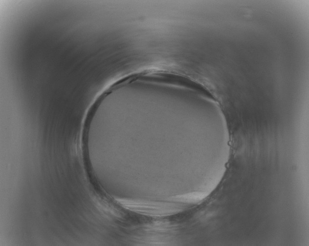 X0000069360196200605262007