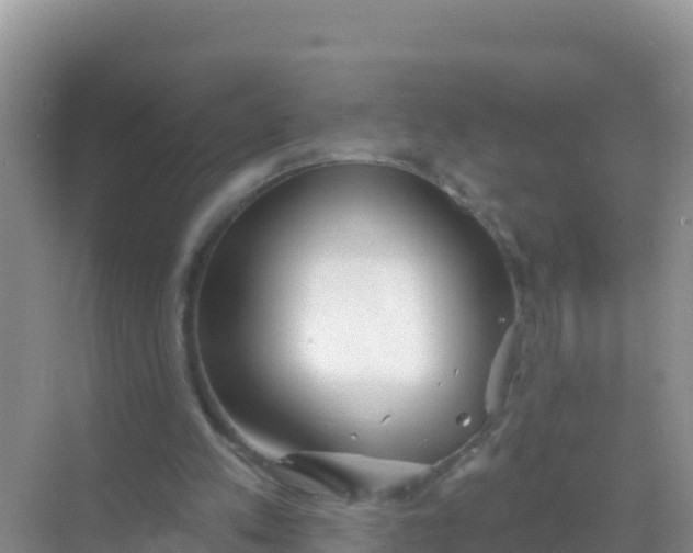 X0000069360197200605262007