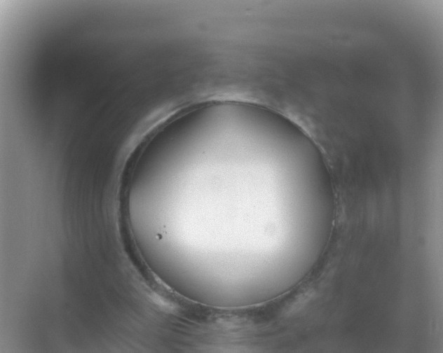 X0000069360199200605262007