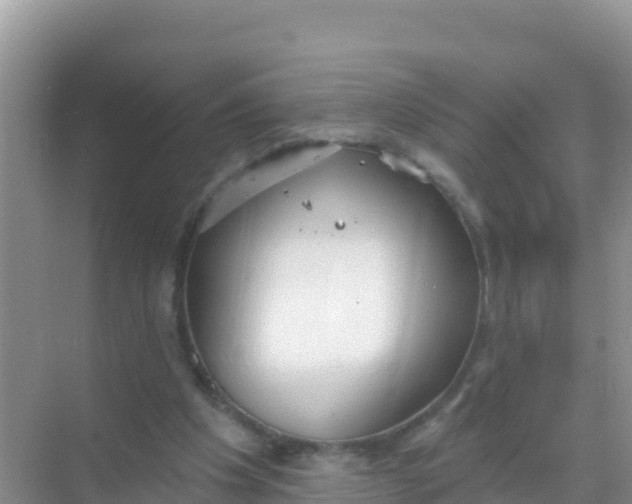 X0000069360201200605262007