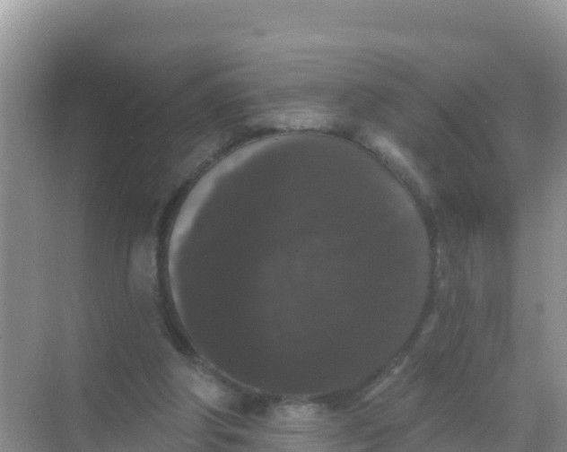 X0000069360202200605262007