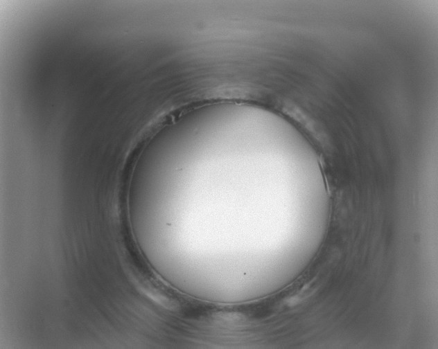 X0000069360203200605262007