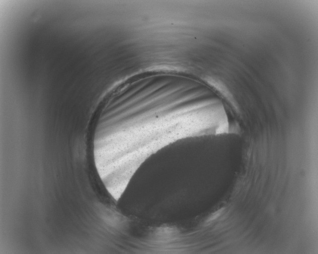 X0000069360204200605262007