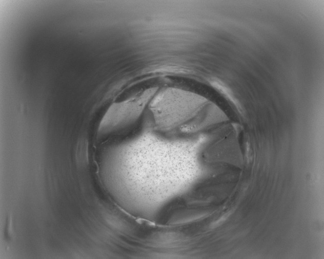 X0000069360205200605262007