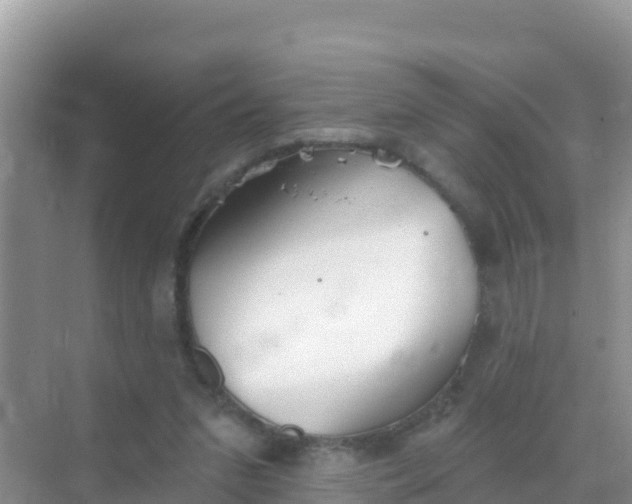 X0000069360207200605262007