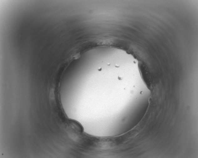 X0000069360209200605262007