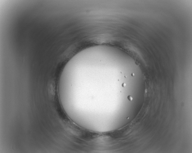 X0000069360210200605262007