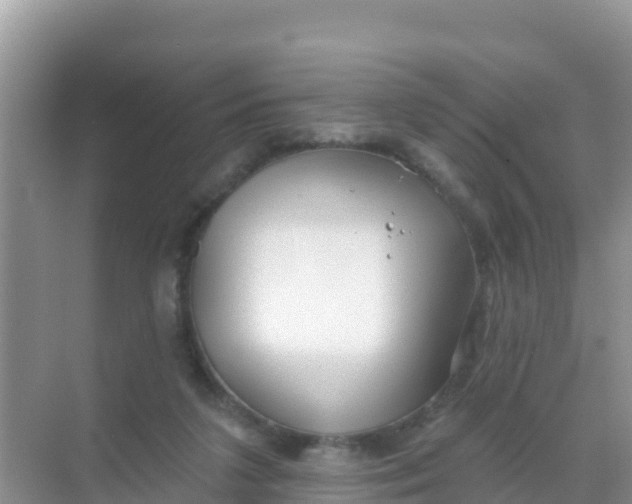 X0000069360211200605262007