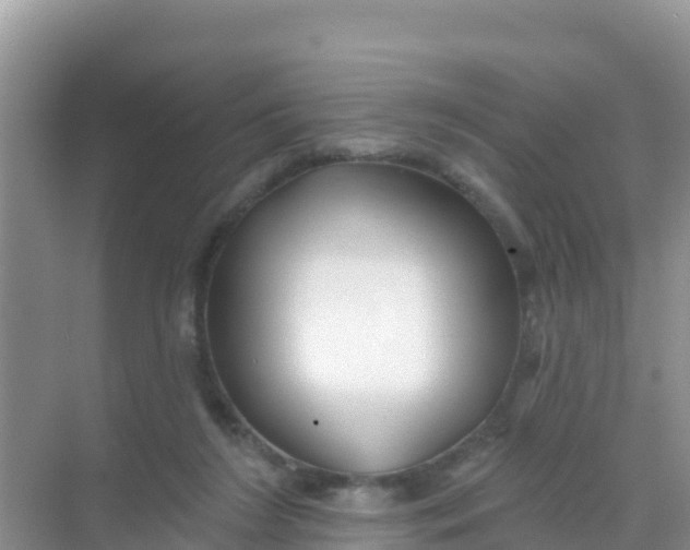 X0000069360212200605262007