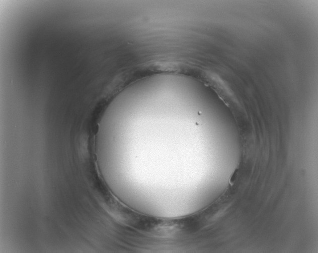 X0000069360213200605262007