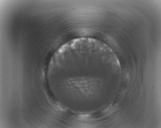 X0000069360214200605262007