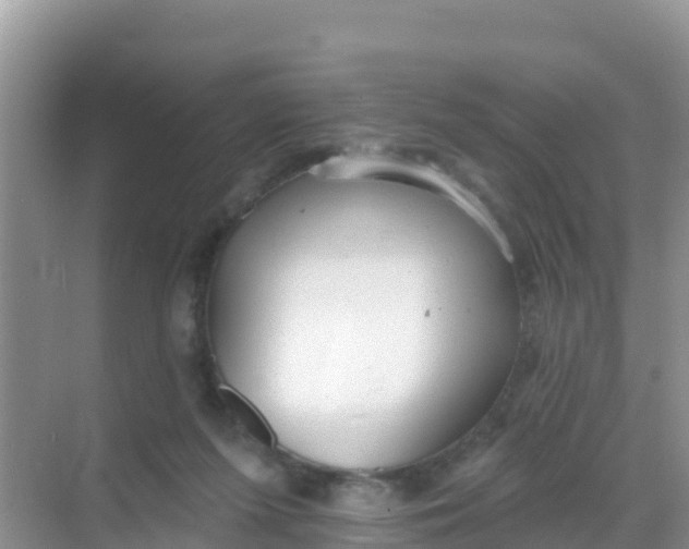 X0000069360215200605262007