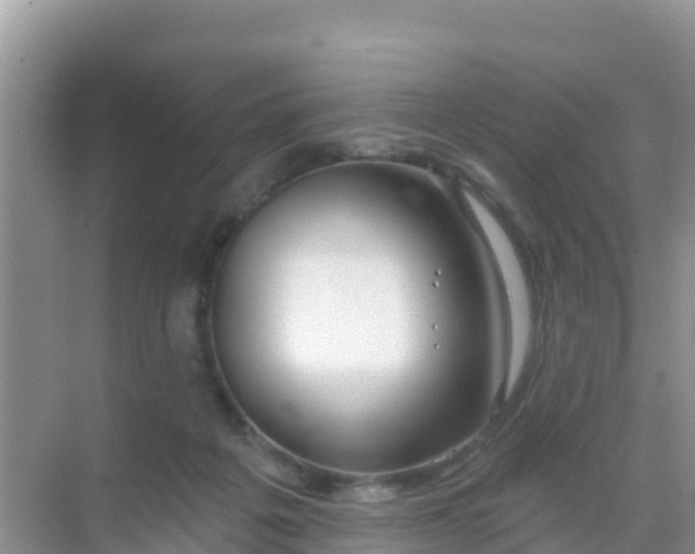 X0000069360217200605262007