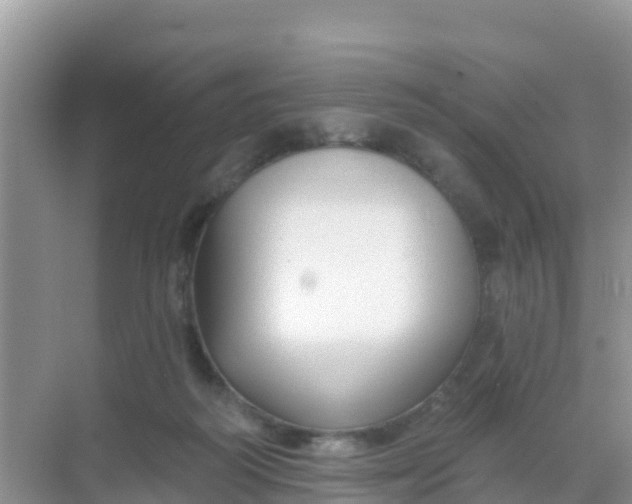 X0000069360218200605262007