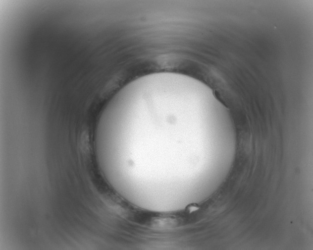 X0000069360220200605262007