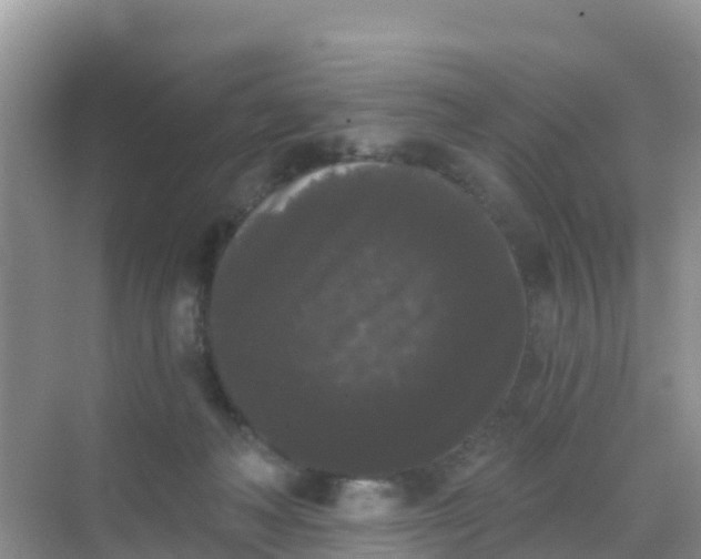 X0000069360222200605262007