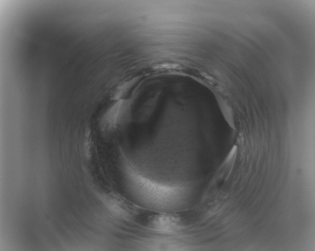 X0000069360223200605262007