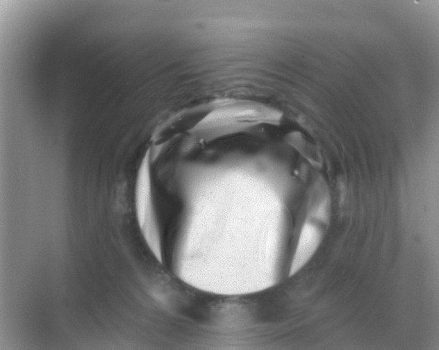 X0000069360224200605262007