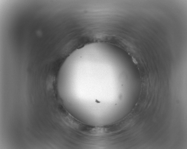 X0000069360225200605262007