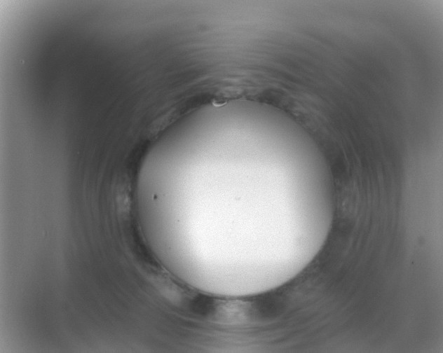 X0000069360226200605262007