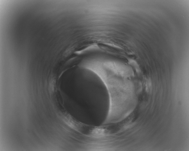 X0000069360227200605262007