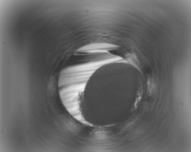 X0000069360228200605262007