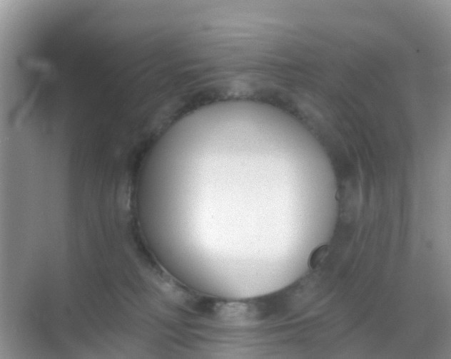 X0000069360230200605262007